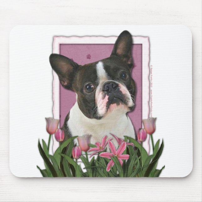 Mors dag - rosa tulpan - Boston Terrier Musmatta (Framsidan)