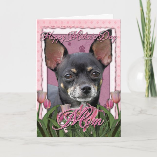 Mors dag - rosa tulpan - Chihuahua - Isabella Kort (Framsida)
