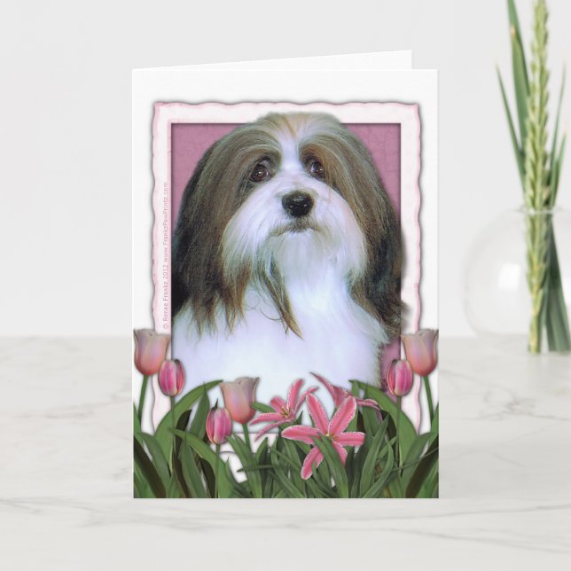 Mors dag - rosa tulpan - Havanese Kort (Framsida)