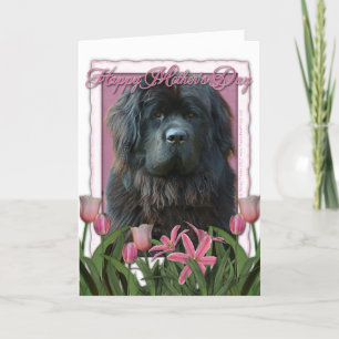 Mors dag - rosa tulpan - Newfoundland Kort