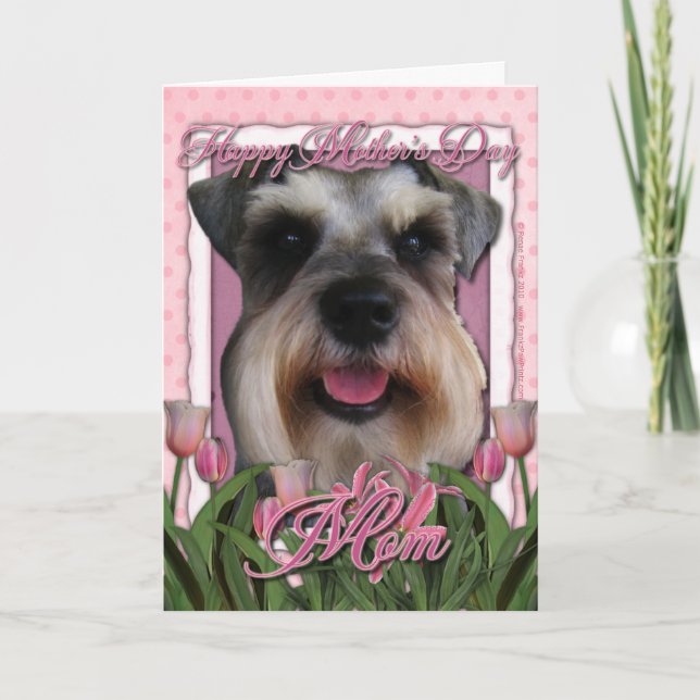 Mors dag - rosa tulpan - Schnauzer Kort (Framsida)