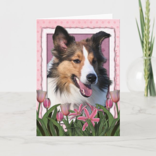 Mors dag - rosa tulpan - Sheltie Kort (Framsida)