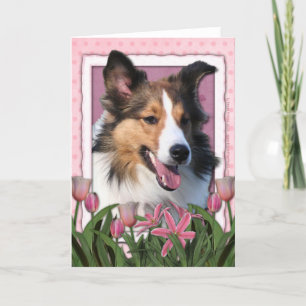 Mors dag - rosa tulpan - Sheltie Kort