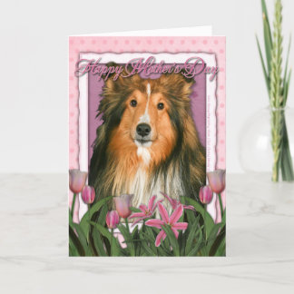 Mors dag - rosa tulpan - Sheltie Kort