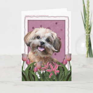 Mors dag - rosa tulpan - ShihPoo - Maggie Kort