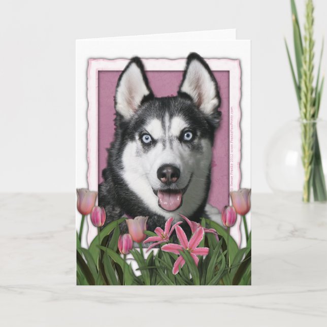 Mors dag - rosa tulpan - siberian husky kort (Framsida)