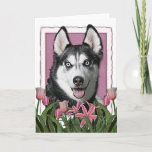 Mors dag - rosa tulpan - siberian husky kort