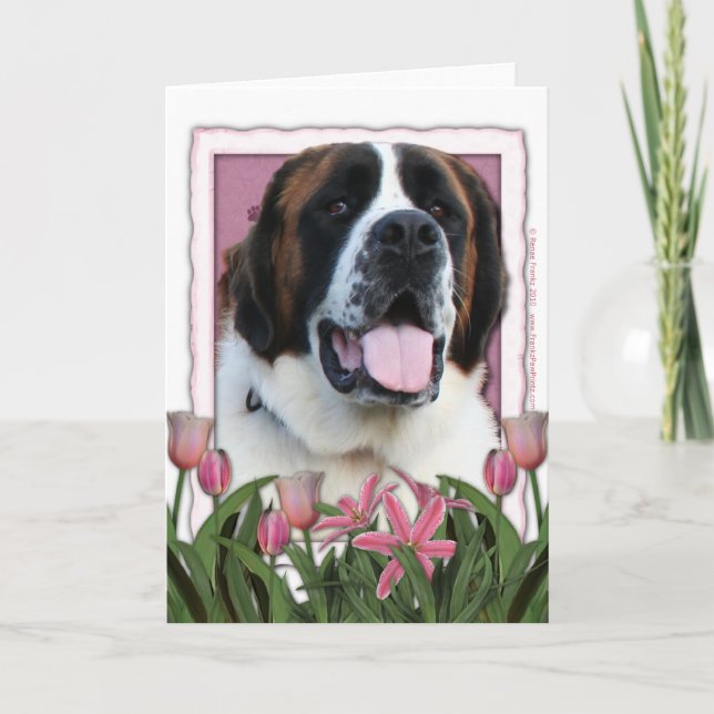 Mors dag - rosa tulpan - St Bernard - Mae Kort (Framsida)