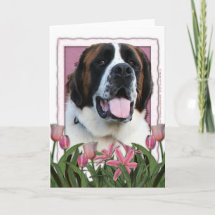 Mors dag - rosa tulpan - St Bernard - Mae Kort