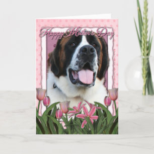 Mors dag - rosa tulpan - St Bernard - Mae Kort