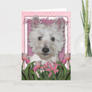 Mors dag - rosa tulpan - Westie Kort