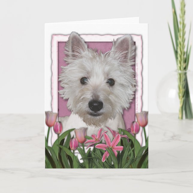 Mors dag - rosa tulpan - Westie Kort (Framsida)
