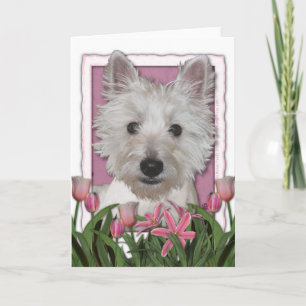 Mors dag - rosa tulpan - Westie Kort