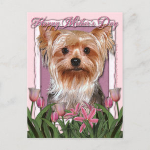 Mors dag - rosa tulpan - Yorkshire Terrier Vykort