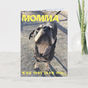 Mors dag som slickar från hunden kort