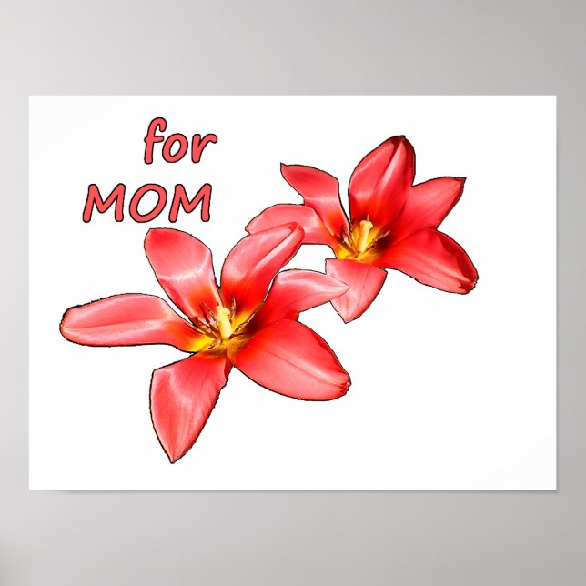 Mors dag - Tulpaner till mamma - Illustration |  Poster (Framsidan)