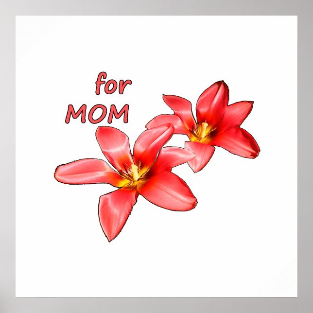 Mors dag - Tulpaner till mamma - Illustration |  Poster (Framsidan)