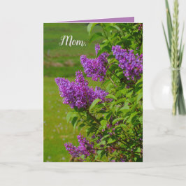 Mors dag, vackra blommor, laktor, söt kort