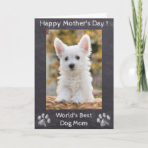 Mors dag - Världens bästa Hund Mamma - Foto