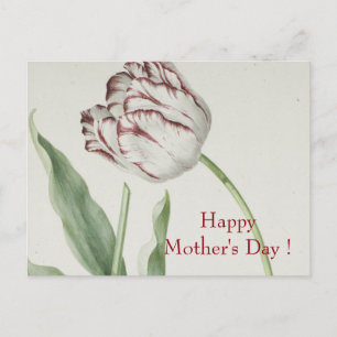 Mors dag - Vintage Fine Art White & Red Tulip Vykort