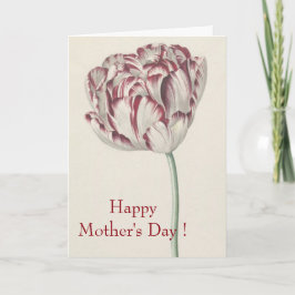 Mors dag Vintage Röd och vit Tulip Kort