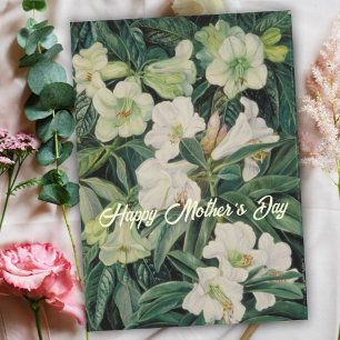 Mors dag Vita Blommor Julkort