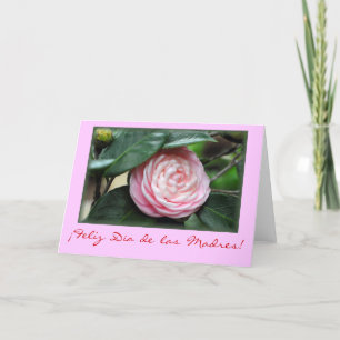 "Mors dagCamellia ", Kort