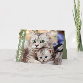 Mors dagkatt och kattunge kort