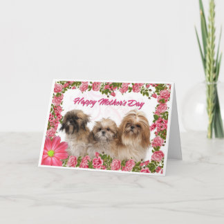 Mors dagkort - Shih Tzu hundar - rosa blommigt Kort
