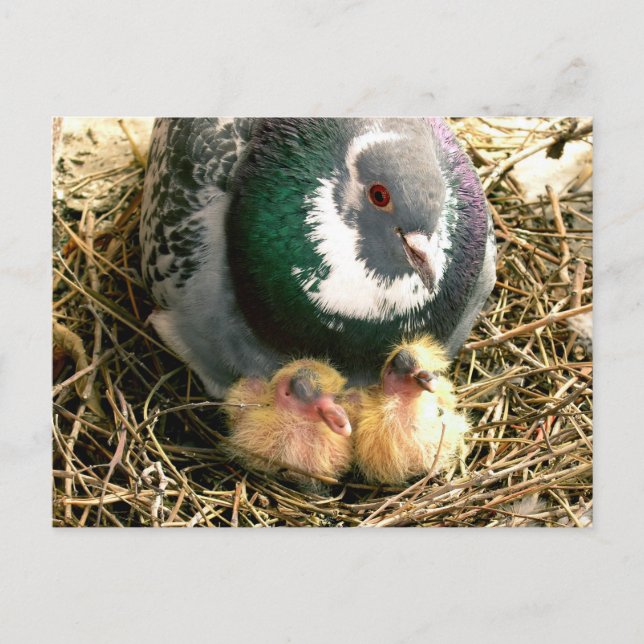 Mors dagvykort vykort (Framsida)