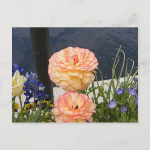 MORSA FLOWER VYKORT
