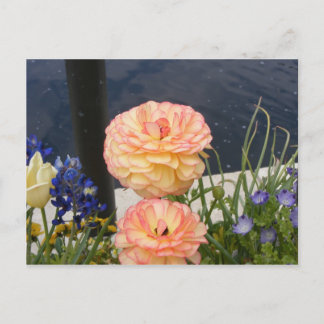 MORSA FLOWER VYKORT