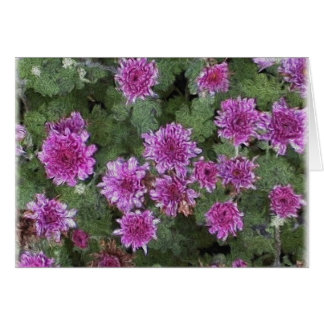 Morsa Hälsningskort