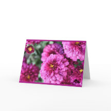 Morsa Hämta källkort