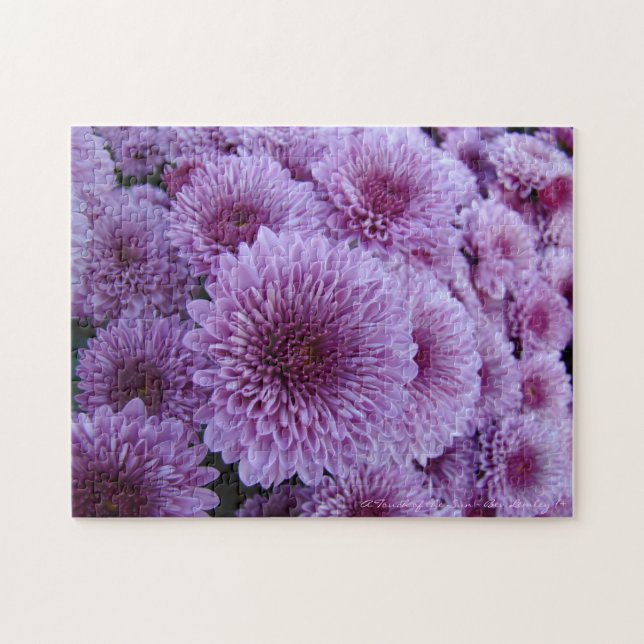 Morsa i Ord! Pussel (Horisontell)