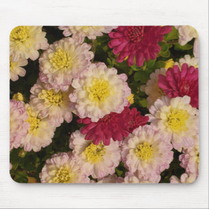 Morsa mousepad musmatta