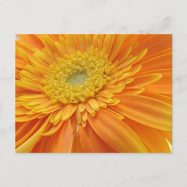 Morsa Ord vykort (Framsida)