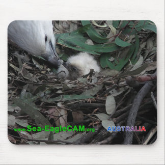 Morsa som matar vågrät för S2 Mousepad Musmatta