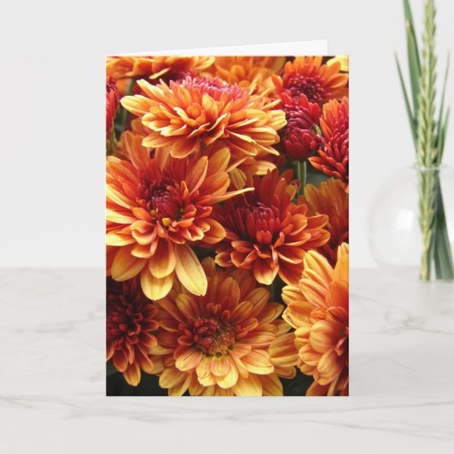 Morsa, Thanksgiving Helgkort (Framsida)