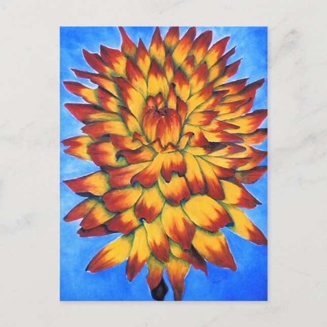 Morsa-vykort Vykort (Framsida)