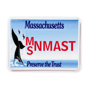 MORSAregistreringsskyltmagnet Magnet