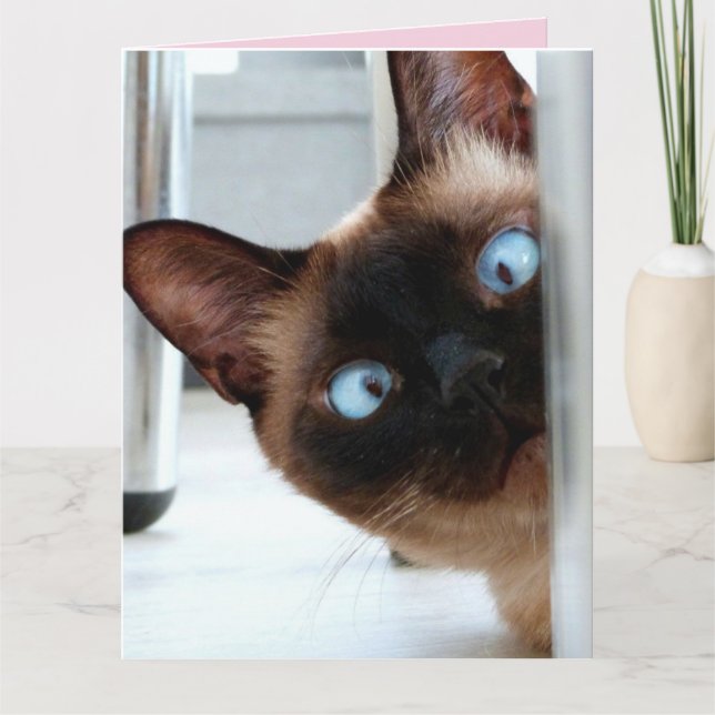MORSDAGENS SÖTA KATT SOM TITTAR FRAM GRATTISKORT KORT (Framsida)