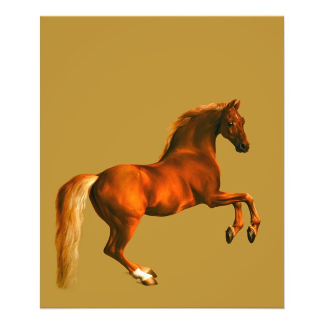 Morson på Godolphin Arabian Fototryck (Framsidan)