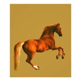 Morson på Godolphin Arabian Fototryck