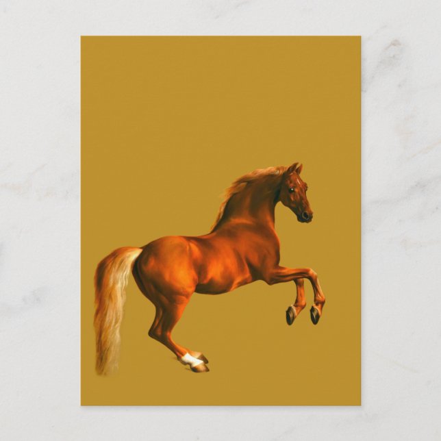 Morson på Godolphin Arabian ... Guld Vykort (Framsida)