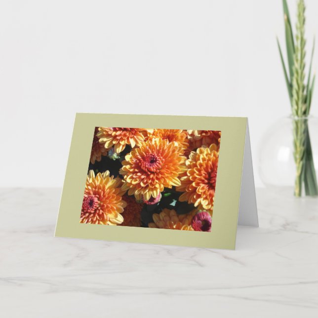 Morsor Kort (Framsida)