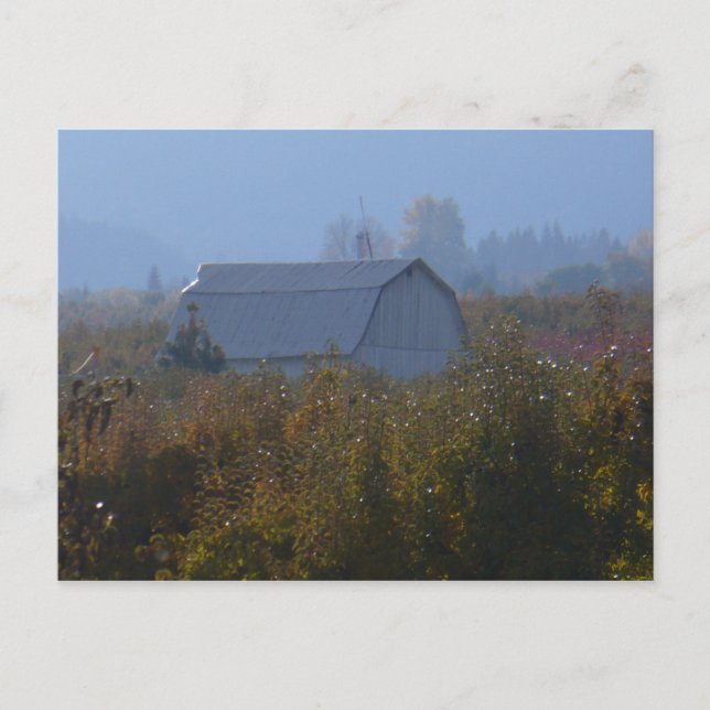 Mortkort för Apple Orchard Barn Vykort (Framsida)