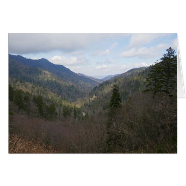 Morton Overlook of Underbar Smoky Mountains Hälsningskort (Framsidan Horizontal)