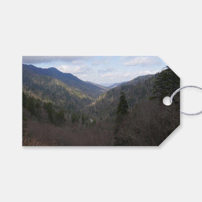 Morton Overlook of Underbar Smoky Mountains Presentetikett (Framsidan (Horisontell))