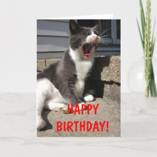 Morty Birthday Kort